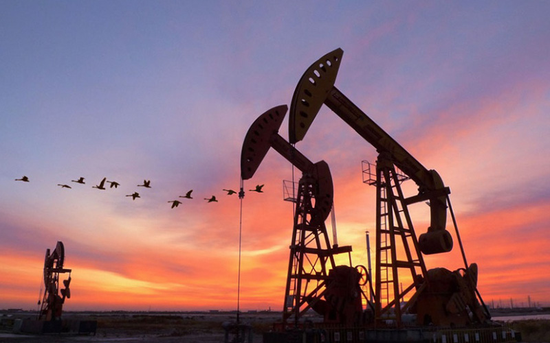 Industria petrolifera e del gas